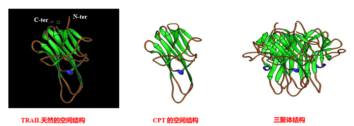 海特生物 海特生物